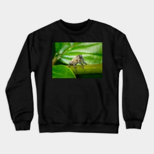 A true weevil, also known as snout beetle (Curculionidae) Crewneck Sweatshirt